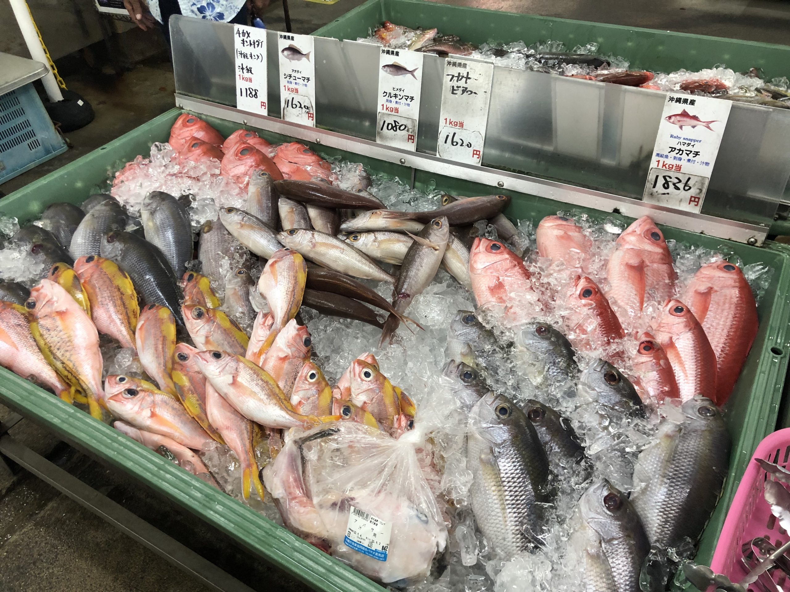 沖縄三大高級魚アカマチを含む沖縄の魚の画像